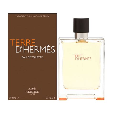 terre d hermes eau de toilette notes|terre d'hermes for men 100ml.